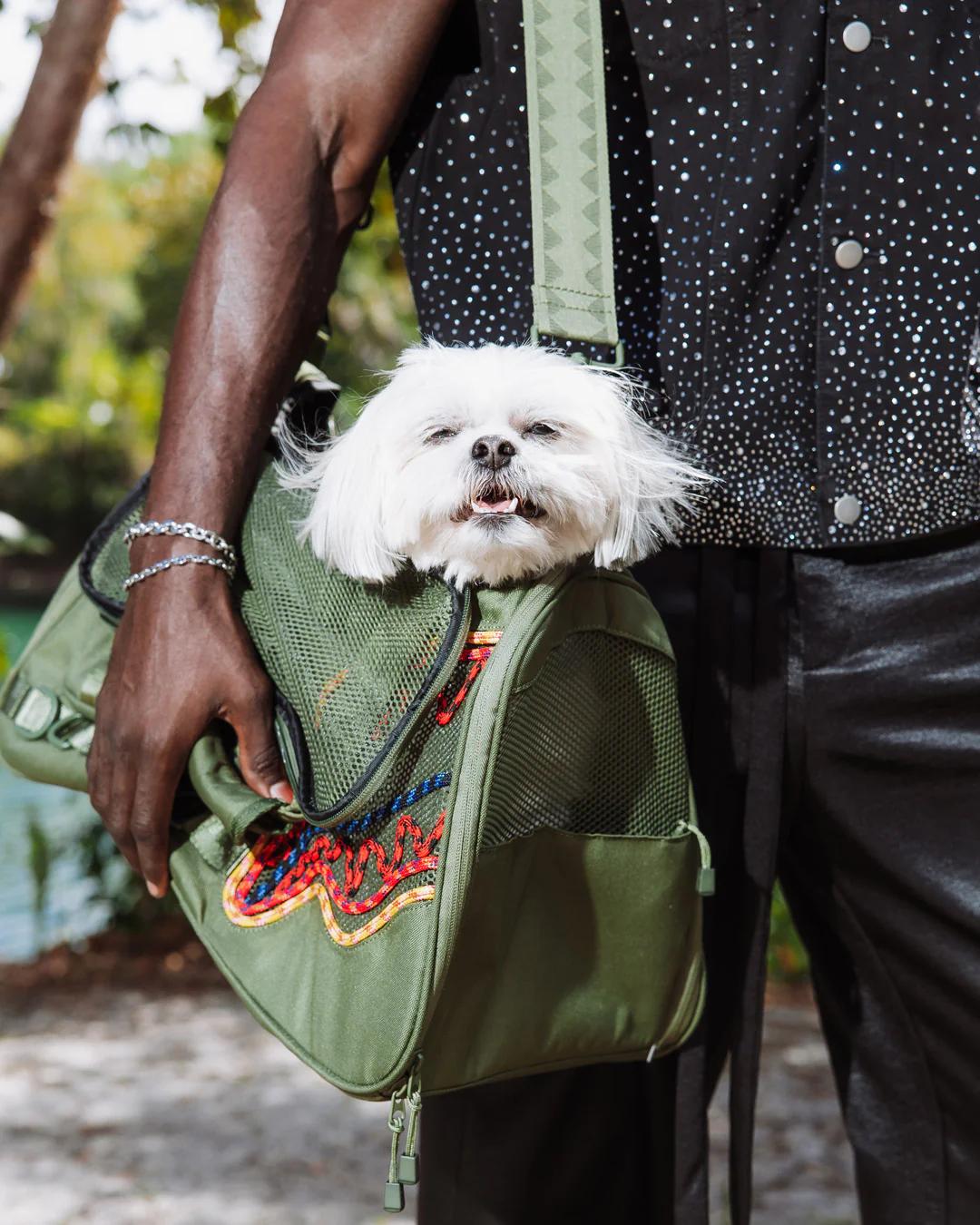 Sprayground WON'T STOP TILL THE TOP PET CARRIER
