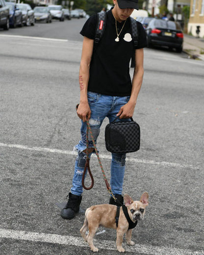 Sprayground HENNY BLACK SNACK PACK